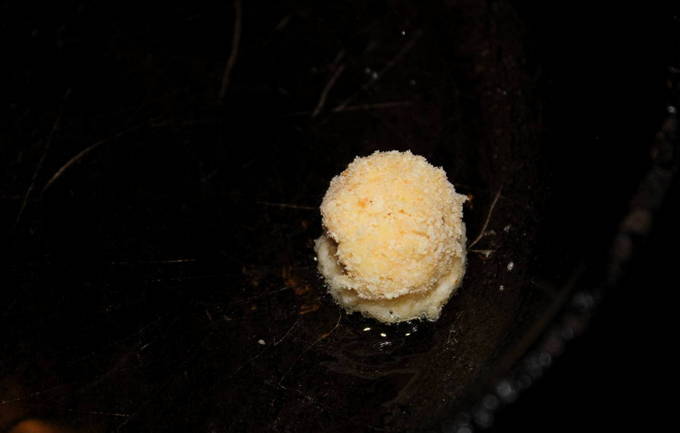 Сырные крокеты