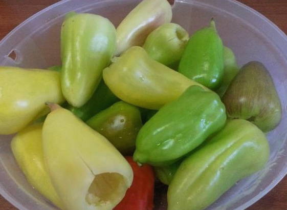 Фаршированный перец без мяса Фаршированный перец без мяса