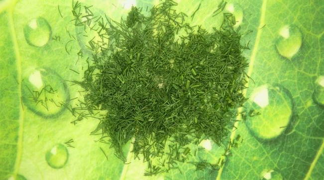 Фаршированные перцы с фаршем и рисом в мультиварке Редмонд Фаршированные перцы с фаршем и рисом в мультиварке Редмонд