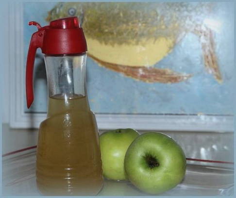 Яблочный уксус в домашних условиях Яблочный уксус в домашних условиях