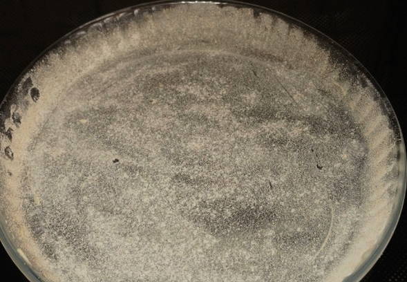 Открытый пирог с грушей Открытый пирог с грушей