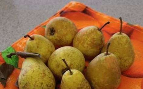 Сок из груши через соковыжималку на зиму Сок из груши через соковыжималку на зиму