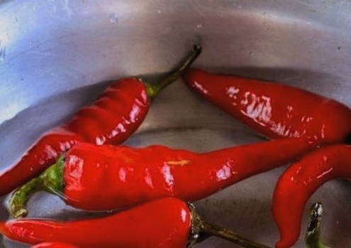 Паста из острого перца на зиму Паста из острого перца на зиму