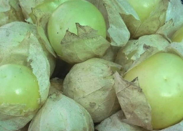 Икра из физалиса овощного на зиму Икра из физалиса овощного на зиму