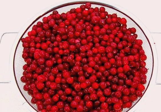 Варенье из брусники Варенье из брусники