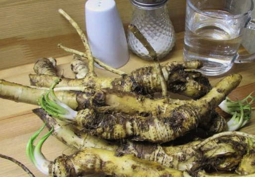 Соус из хрена на зиму Соус из хрена на зиму