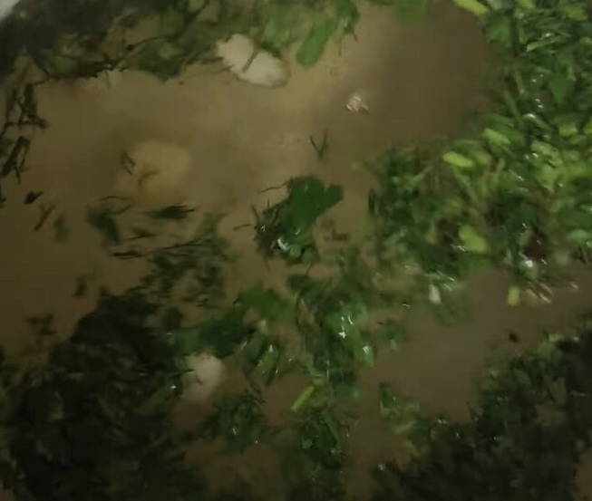 Запеченный перец с чесноком без стерилизации на зиму в банках