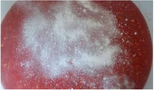 Горлодер из помидор с чесноком на зиму с кипячением