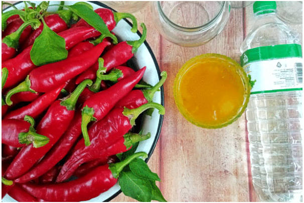 Острый маринованный перец с медом и уксусом на зиму Острый маринованный перец с медом и уксусом на зиму