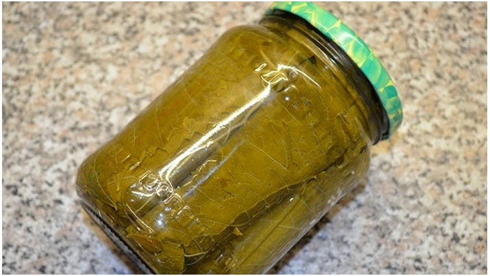 Заготовка виноградных листьев для долмы на зиму Заготовка виноградных листьев для долмы на зиму