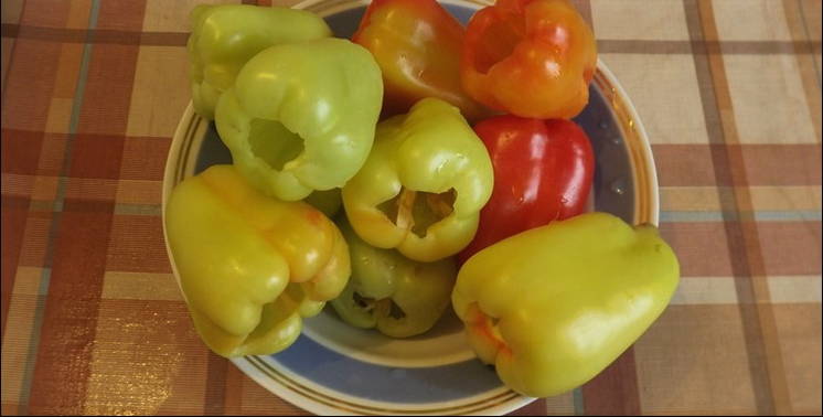 Классический перец, фаршированным мясом и рисом с томатно-сметанной подливкой в кастрюле