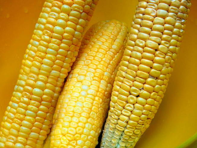 Кукуруза кусочками на мангале Кукуруза кусочками на мангале