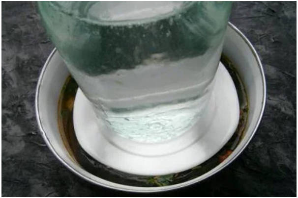 Квашеные баклажаны с морковью и чесноком под гнетом