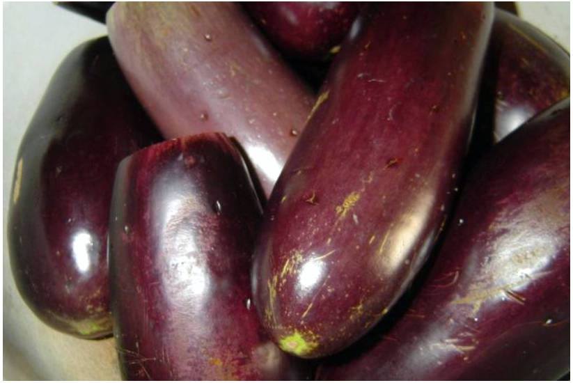 Квашеные фаршированные баклажаны с морковью