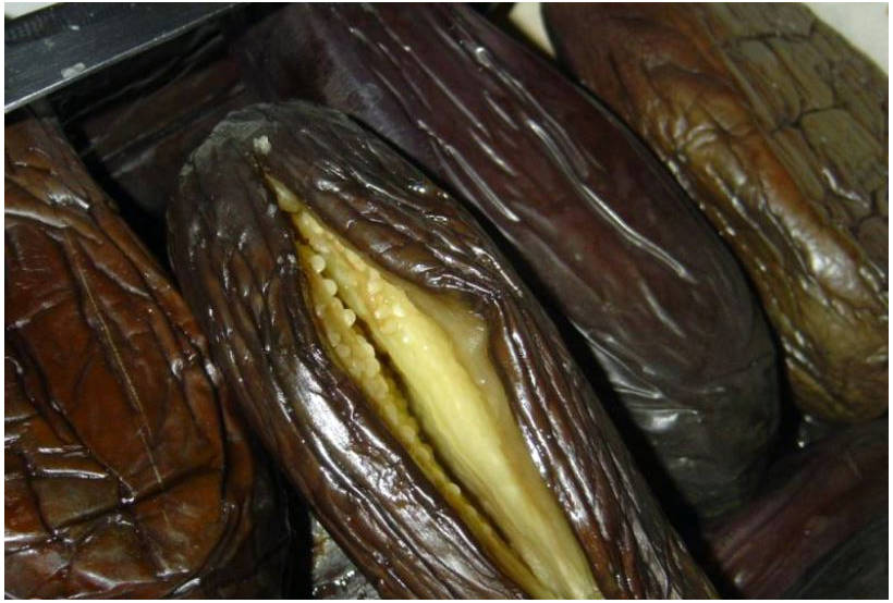 Квашеные фаршированные баклажаны с морковью