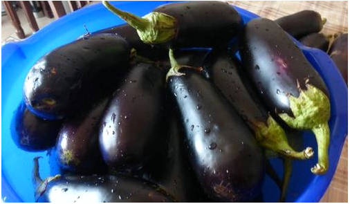 Баклажаны под гнетом