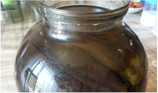 Баклажаны под гнетом