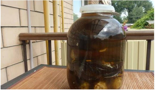 Баклажаны под гнетом