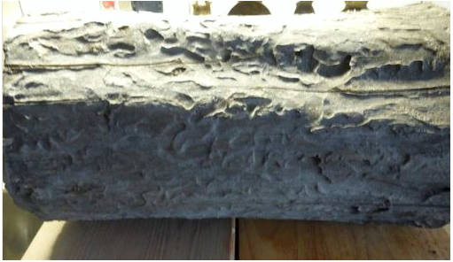 Баклажаны под гнетом