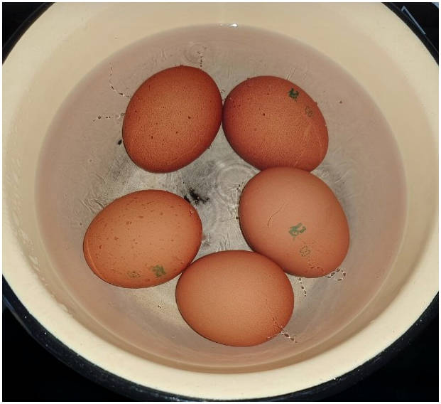 Салат из редьки дайкон с огурцом