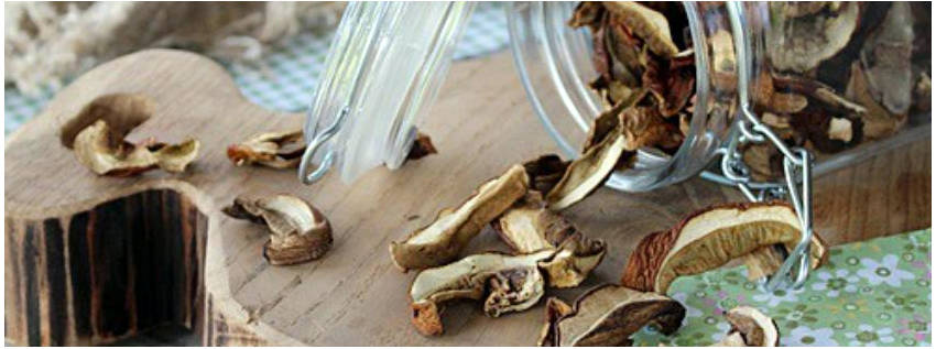 Сушка грибов в духовке газовой плиты