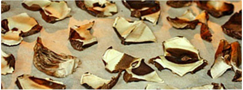 Сушка грибов в духовке газовой плиты