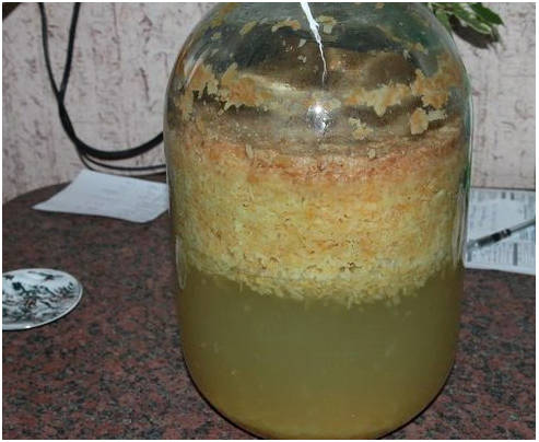 Домашний яблочный уксус с медом