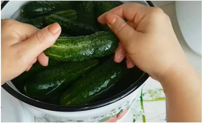 Салат «Тещин язык» из огурцов через мясорубку на зиму
