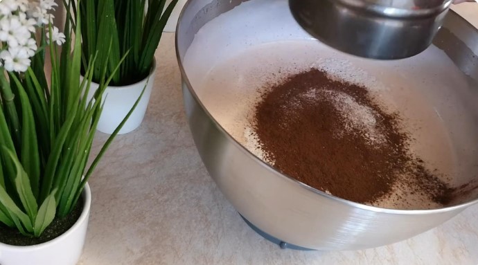 Шарлотка с какао и яблоками