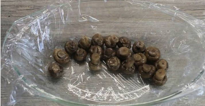 Салат «Грибная поляна» с шампиньонами