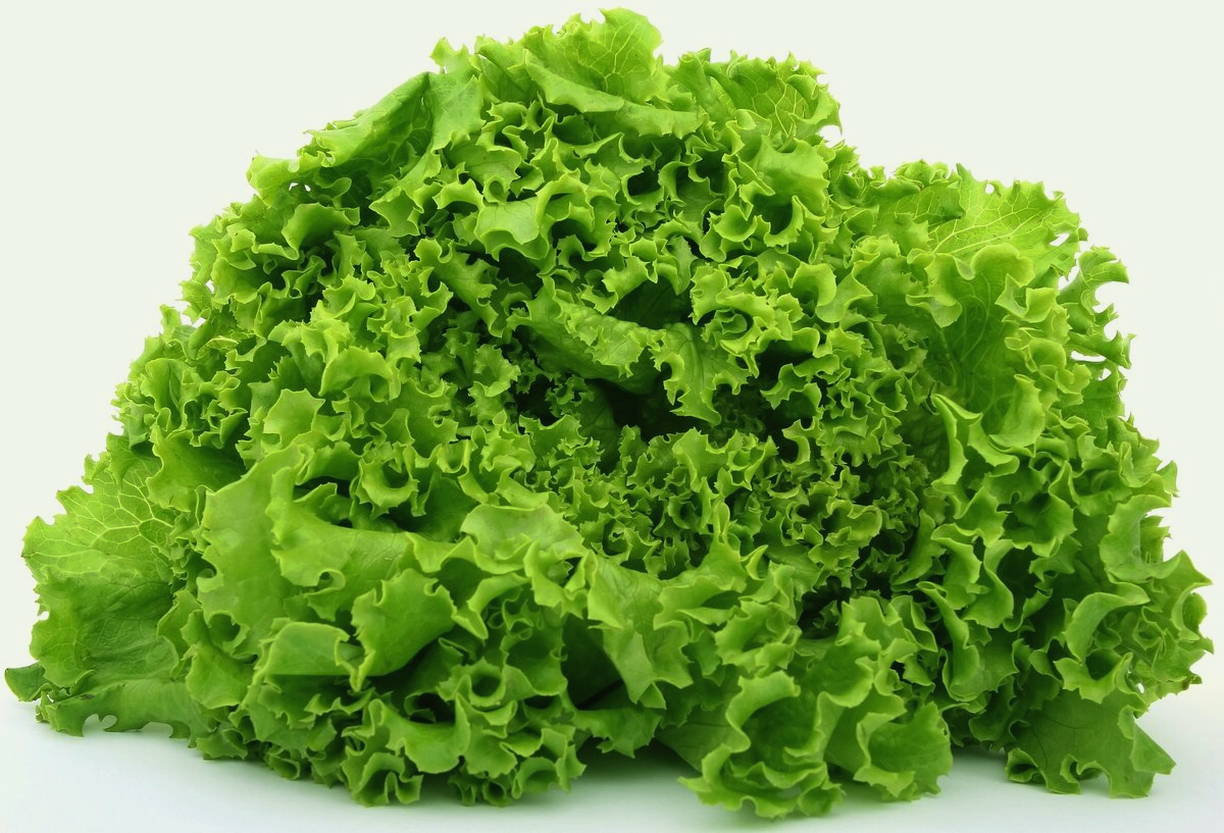 Салат «Гранатовый браслет» с копченой курицей, черносливом и орехами