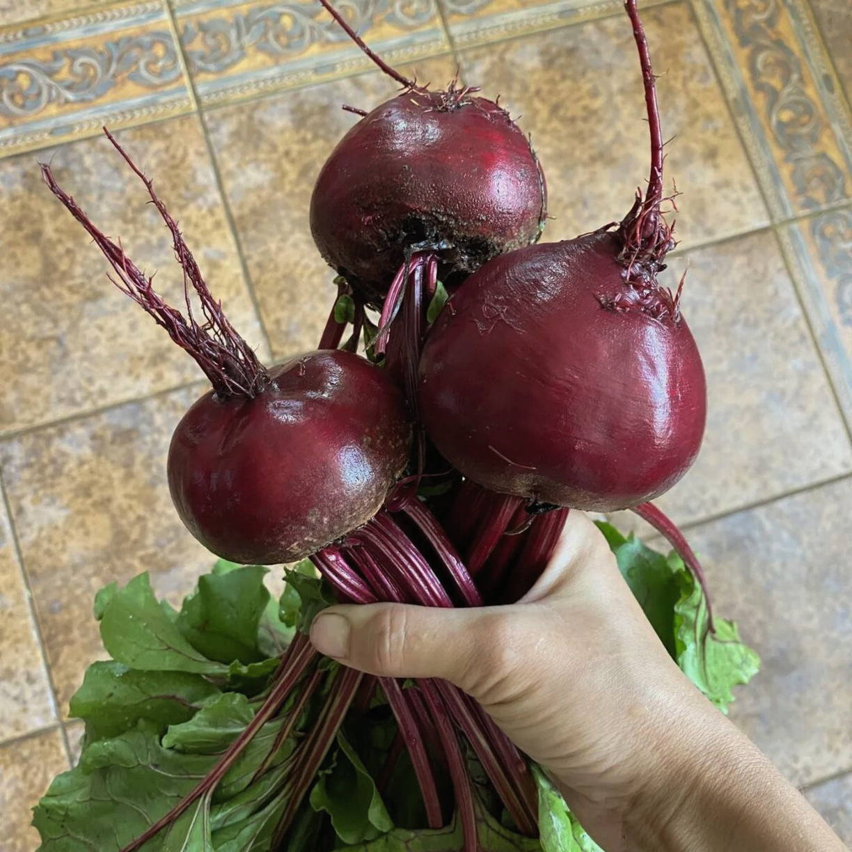 Грузинский салат со свеклой
