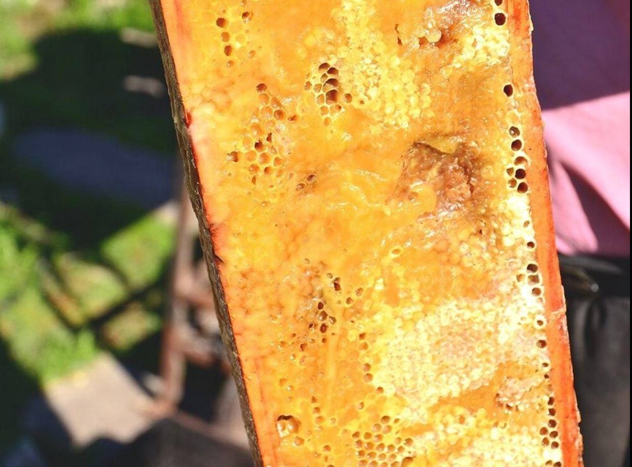 Грузинский салат со свеклой и сыром