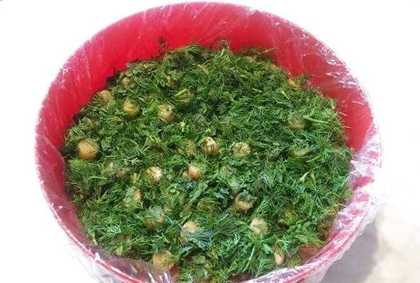 Салат «Лесная поляна» с шампиньонами и курицей