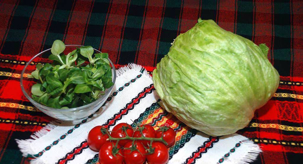 Морской салат из морепродуктов с кальмарами и креветками