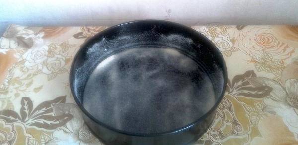 Бабушкина шарлотка с яблоками в духовке