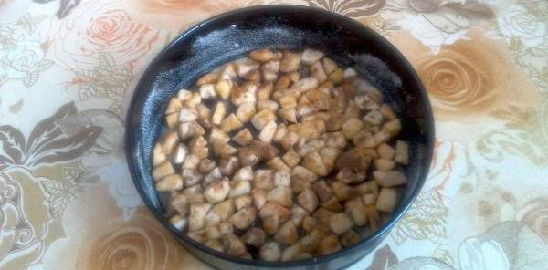 Бабушкина шарлотка с яблоками в духовке