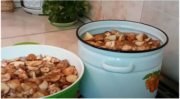 Маринад для маслят на 1 литр воды с уксусом