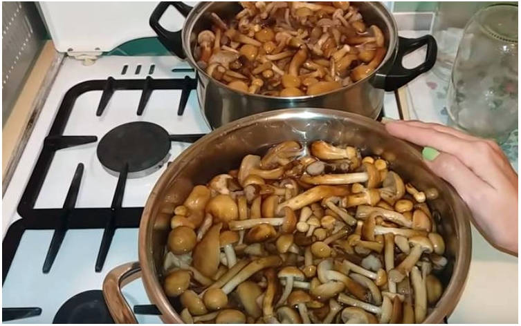 Маринад для опят на 1 литр воды на зиму