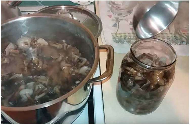 Маринад для опят на 1 литр воды на зиму