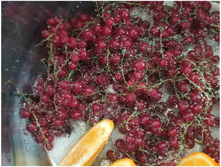 Компот из красной смородины в кастрюле на каждый день