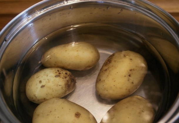 Салат «Грибная поляна» с опятами и курицей