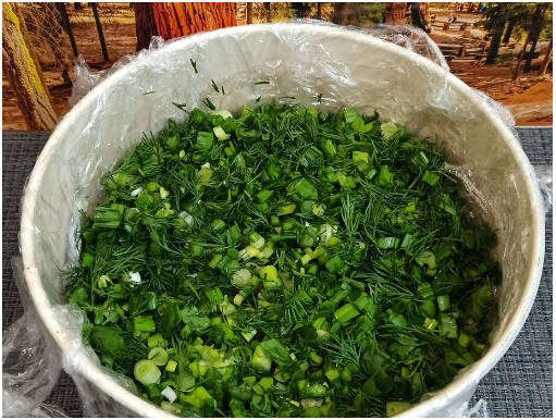 Салат «Грибная поляна» с корейской морковкой