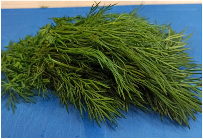 Салат «Грибная поляна» с корейской морковкой