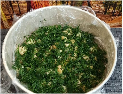 Салат «Грибная поляна» с корейской морковкой