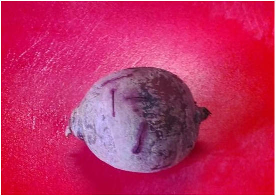 Греческий салат со свеклой