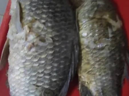 Котлеты из речной рыбы с костями через мясорубку