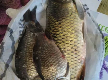 Котлеты из речной рыбы с костями через мясорубку