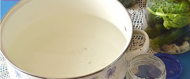 Огурцы простым посолом на зиму