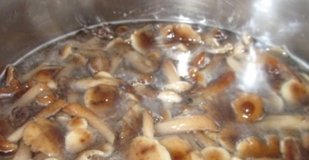 Быстрые маринованные опята с уксусом и чесноком без стерилизации на зиму